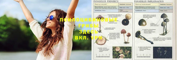MDMA Premium VHQ Армянск