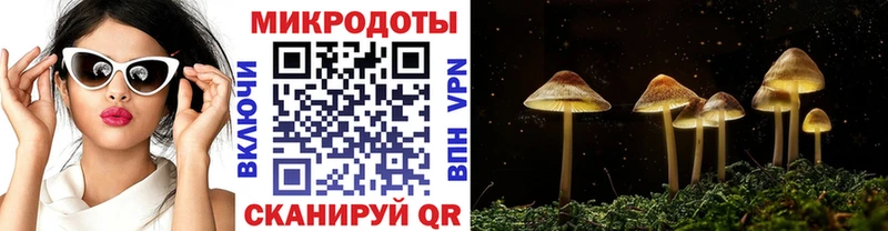 omg маркетплейс  Дмитров  Галлюциногенные грибы MAGIC MUSHROOMS 