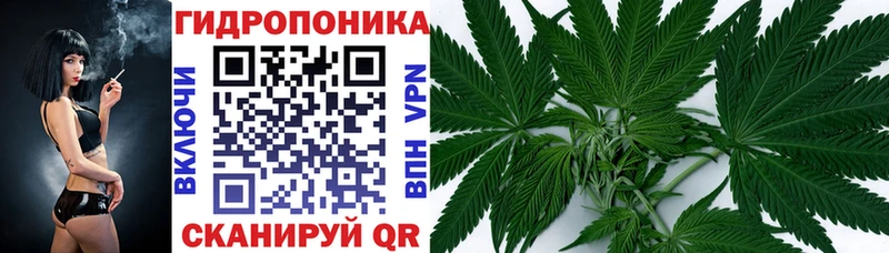 Каннабис OG Kush Дмитров